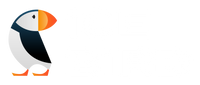 Ice Bird